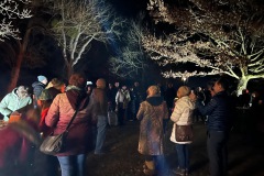 031311c4-6526-4842-9ebb-e84c4b21f5e5