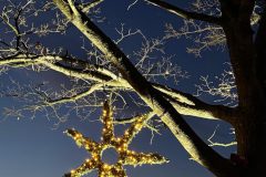 442937d4-18da-447c-bced-c2c058924c3b-scaled