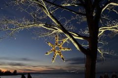 4fdcf438-284b-4f2e-aa97-d17a9398bcd3-scaled