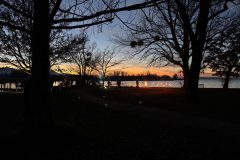 cf975446-5320-454e-ac5c-2baa0df2482b-scaled