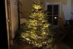 0fa6542b-ff71-4fe1-a251-cc52d74c51c8-scaled