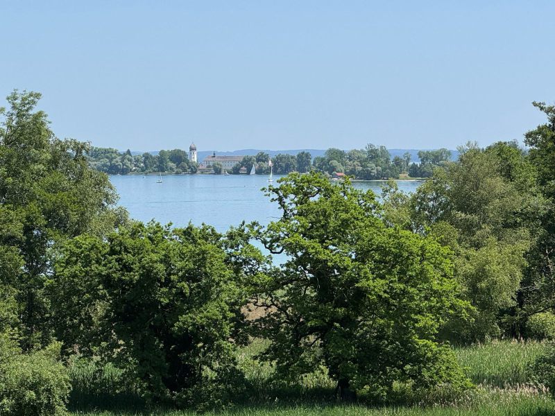 c381c721-1d1b-456a-89fb-5f68deae0d16