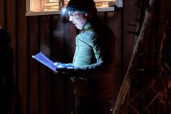 73d9207e-e0cc-48f3-926d-011f37178857-1-scaled