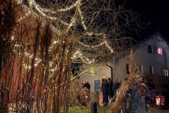 ef5d9df8-9f51-435d-aac4-1907f812086d-1-scaled